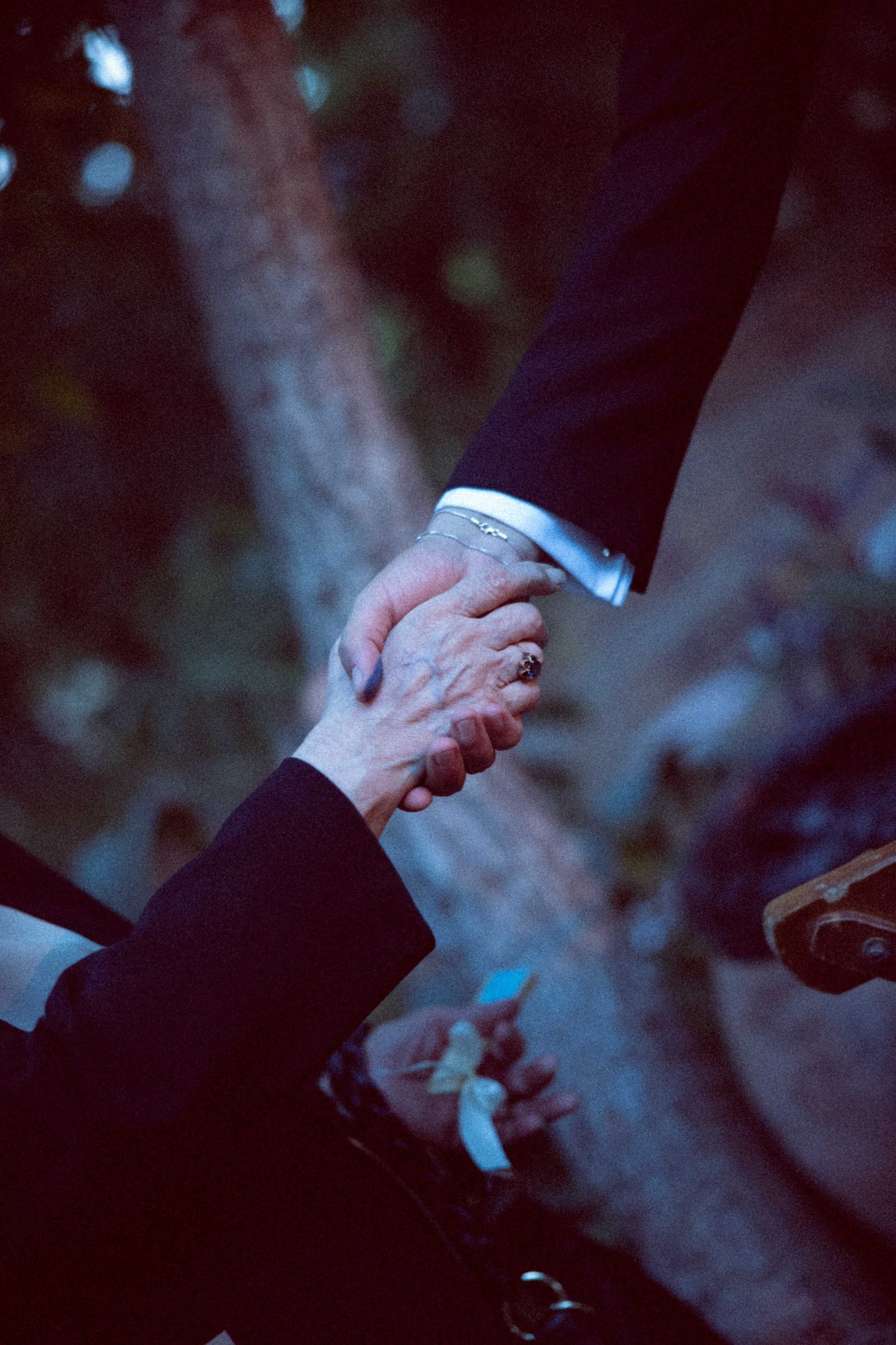 Two hands held close among tree branches
